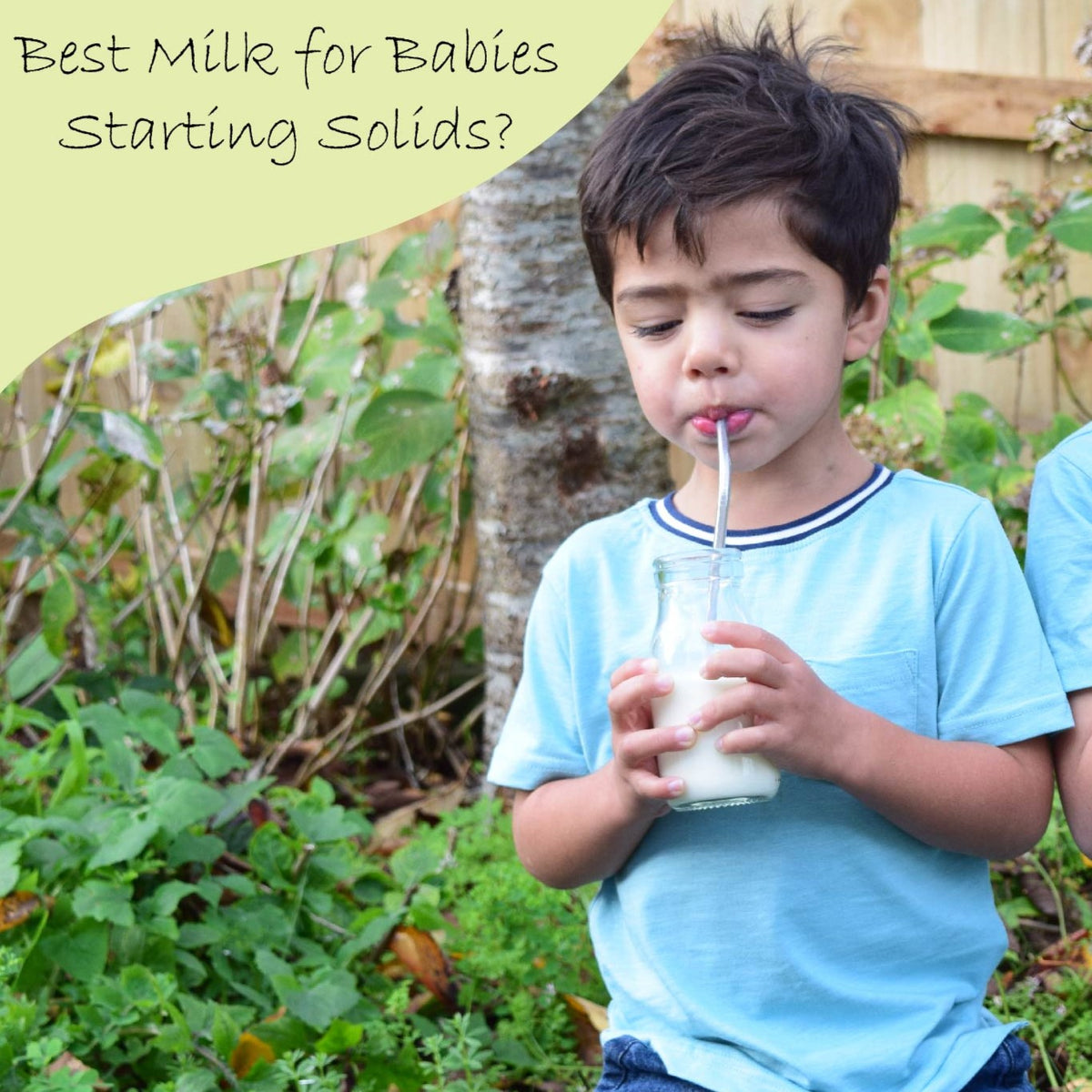 Best Milk For Babies Starting Solids best-milk-for-babies-starting-solids