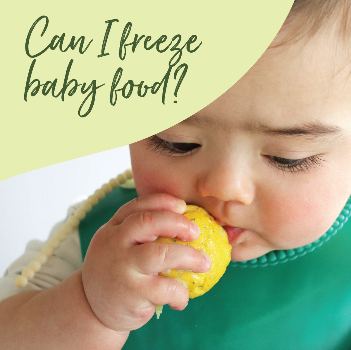 http://www.juliebhosale.co.nz/cdn/shop/articles/freeze_baby_food-16_1200x1200.png?v=1674767503