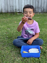 Load image into Gallery viewer, Funky Monkey Slice Mix