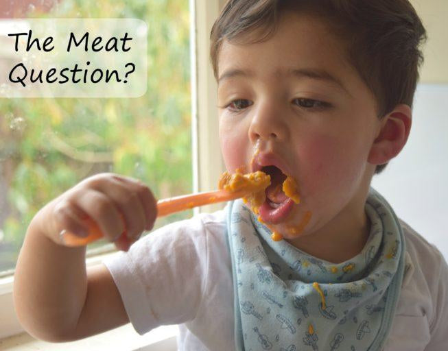 Starting Solids - The Meat Question?