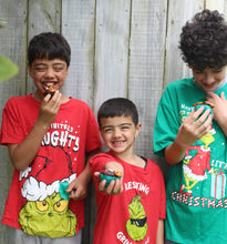 Load image into Gallery viewer, Reindeer Muffin Mix *Limited Edition*
